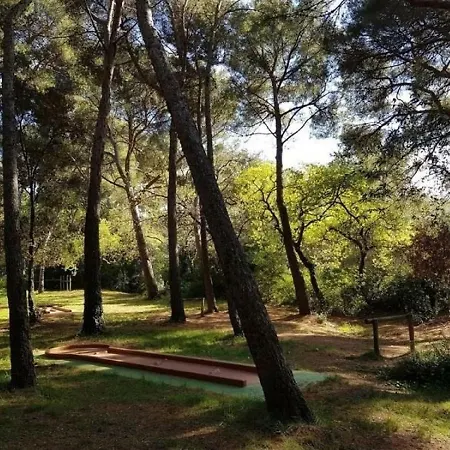 Luberon Loisirs 3 * Six-Fours-les-Plages
